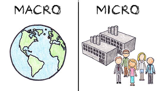 macro vs micro.jpg