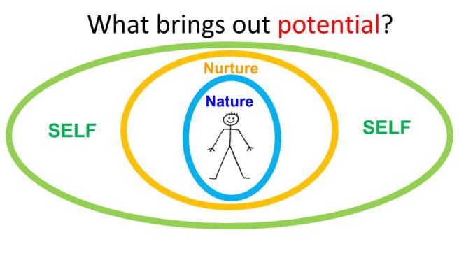 Untitled presentation (2)